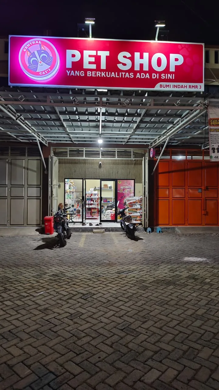 Dari Emperan Rumah ke Petshop Tepercaya: Kisah Bangkit Central Cat's