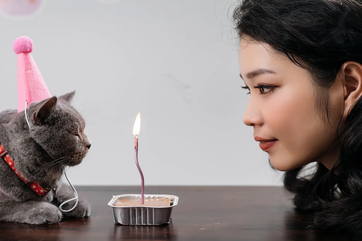 Peluang Bisnis Cat Bakery: Kue Ulang Tahun Kucing
